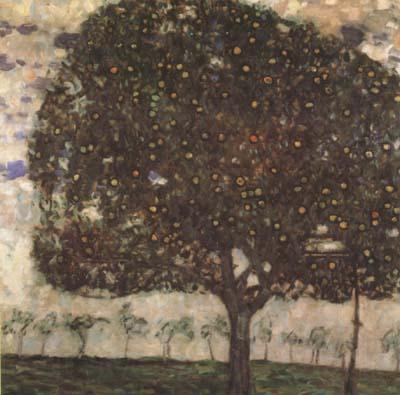 Gustav Klimt Apple Tree II (mk20) Germany oil painting art